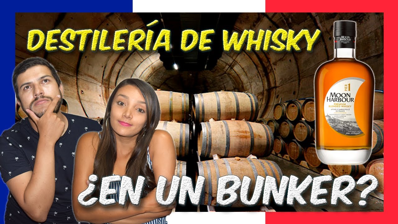 DESTILERÍA de WHISKY 🥃 | Qué HACER en BURDEOS 🇫🇷