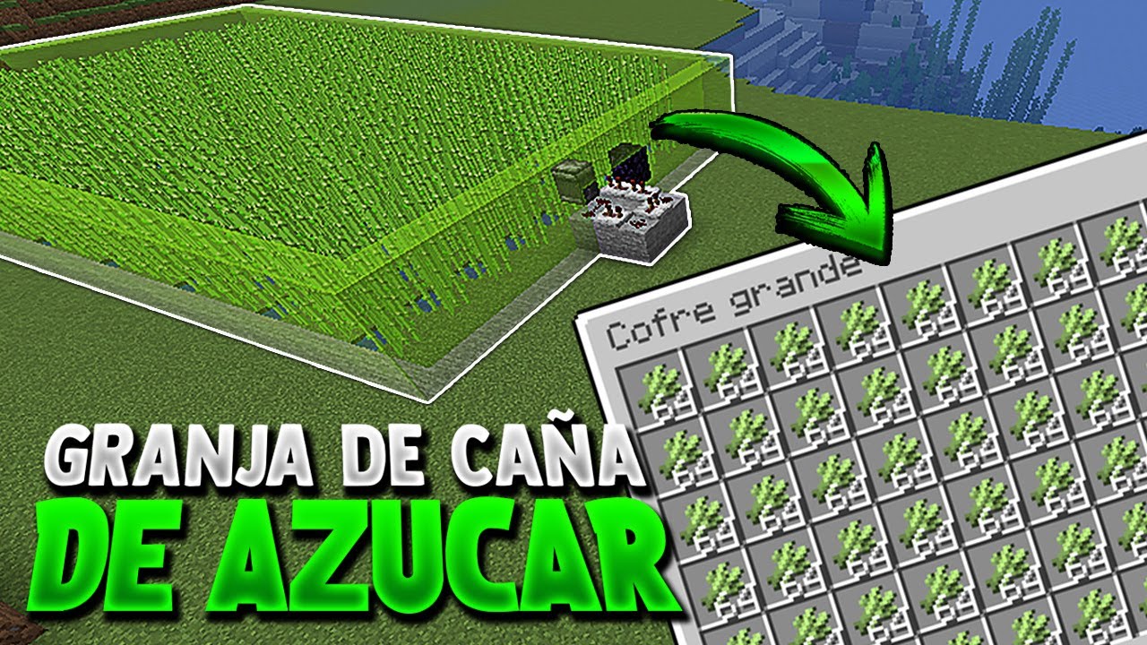 GRANJA de CAÑA DE AZUCAR para MINECRAFT 1.16+ 😱 TUTORIAL GRANJA DE CAÑA DE AZUCAR (JAVA) 👌