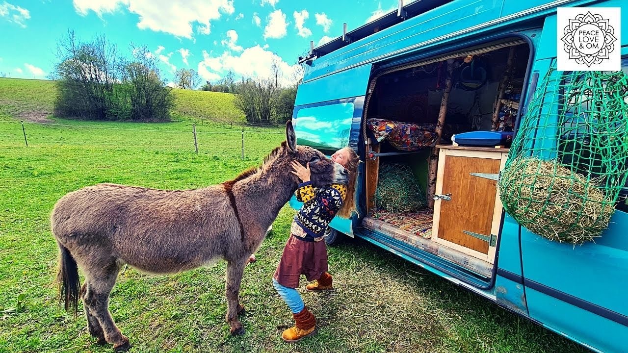 Lotta viaja por Europa con su burro Jonny en una furgoneta