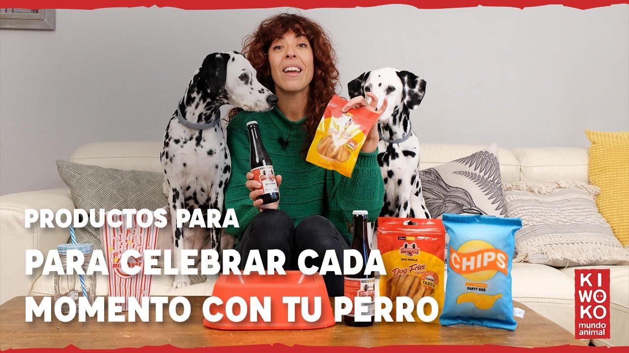 Productos para Celebrar con tu perro🐶【Patatas Fritas 🍟 y Cerveza para perros 🍻】