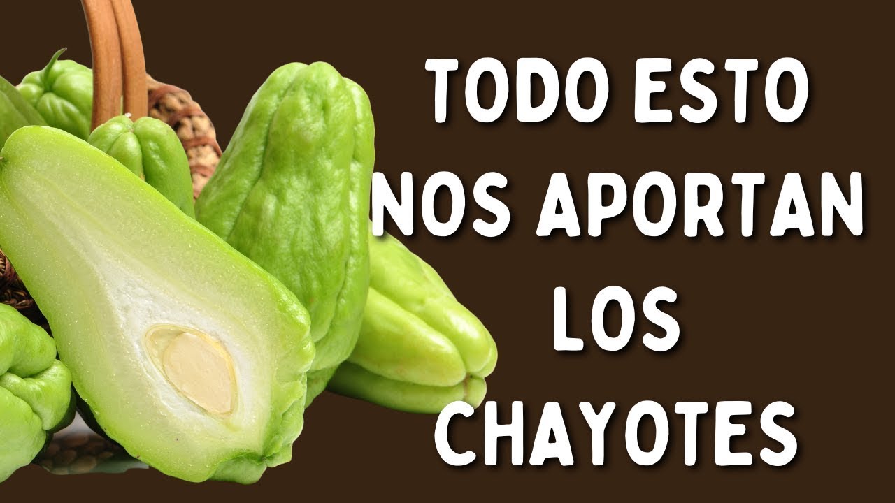 Todos Los Beneficios Del Chayote, Cidra Papa, Zapallo Japones, Tayota, Papa Del Aire O Papa De Pobre